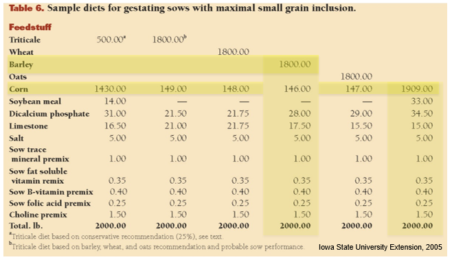 Including small grains in gestating cows diets